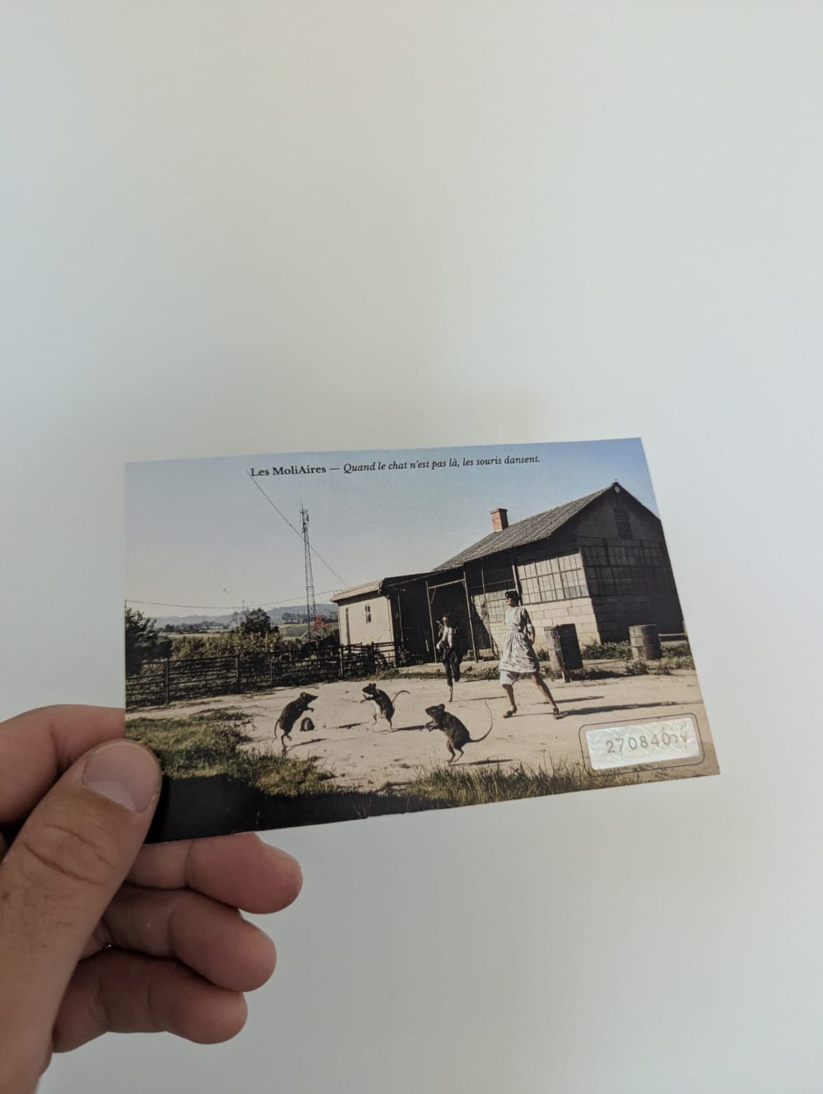 Carte postale Quand le chat n'est pas là, les souris dansent, tenue en main